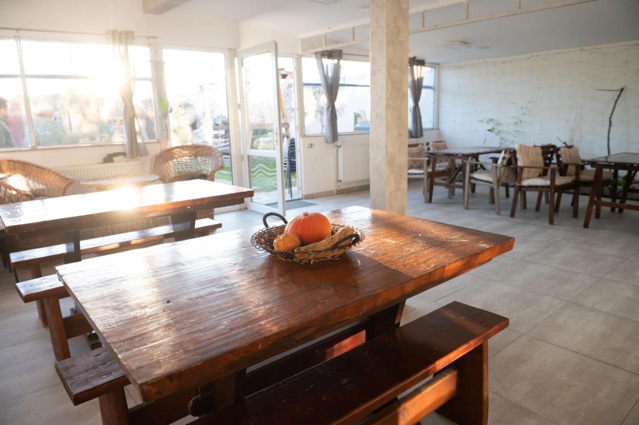 Casa Dumitrescu Hotel นาโวดาริ ภายนอก รูปภาพ